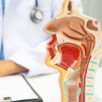 Screenshot 2026-03-20 161347